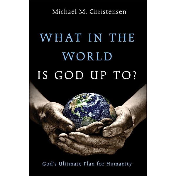 What in the World Is God Up To?, Michael M. Christensen
