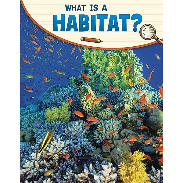 What Is a Habitat?, Lisa M. Bolt Simons