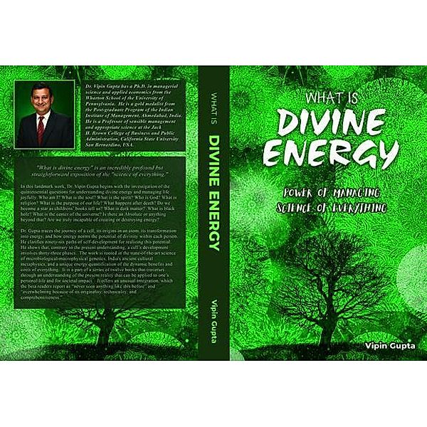 What Is Divine Energy / Discovering the Vastly Integrated Processes Inside Nature Bd.1, Vipin Gupta