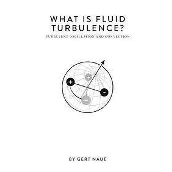What is fluid turbulence?, Gert Naue