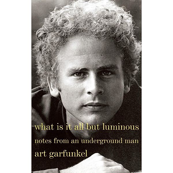 What Is It All but Luminous, Art Garfunkel