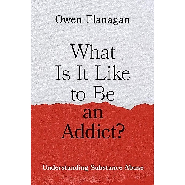 What Is It Like to Be an Addict?, Owen Flanagan