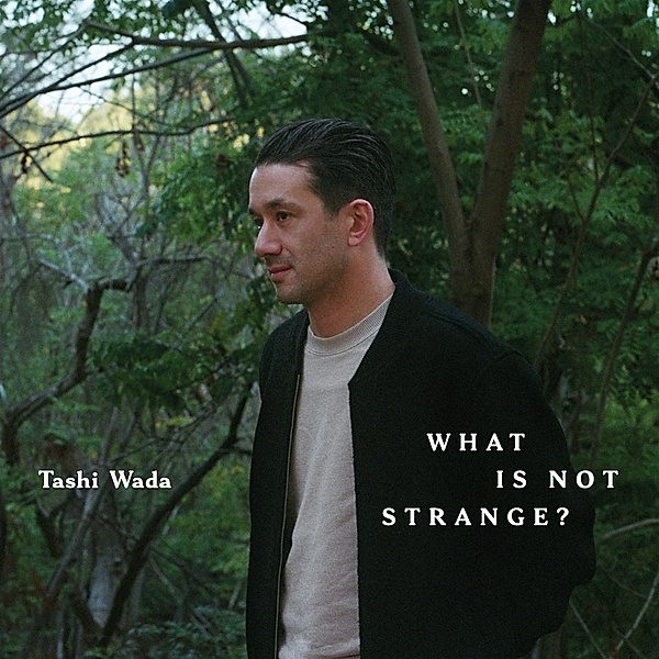 WHAT IS NOT STRANGE?, Tashi Wada