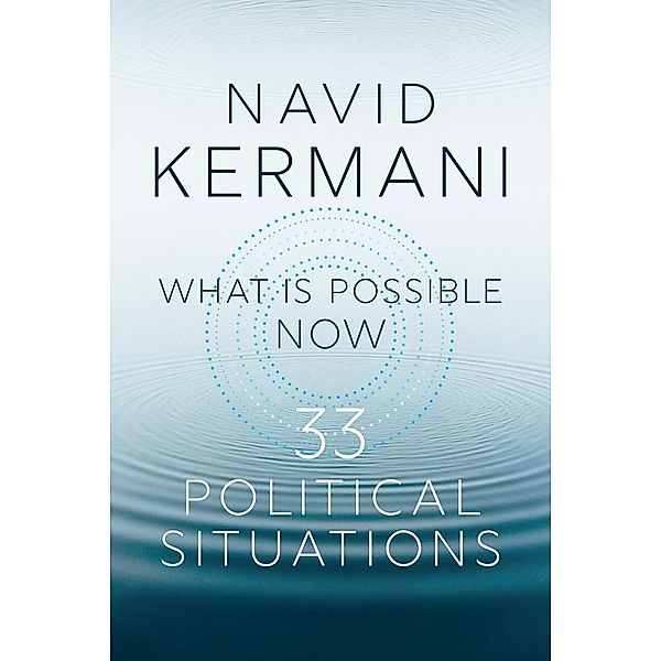 What is Possible Now, Navid Kermani