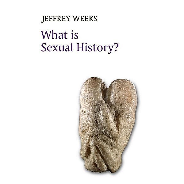 What is Sexual History? / What is History series, Jeffrey Weeks