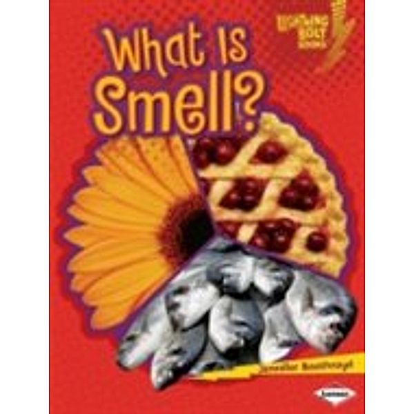 What Is Smell?, Jennifer Boothroyd