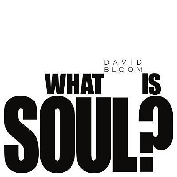 What Is Soul?, David Bloom