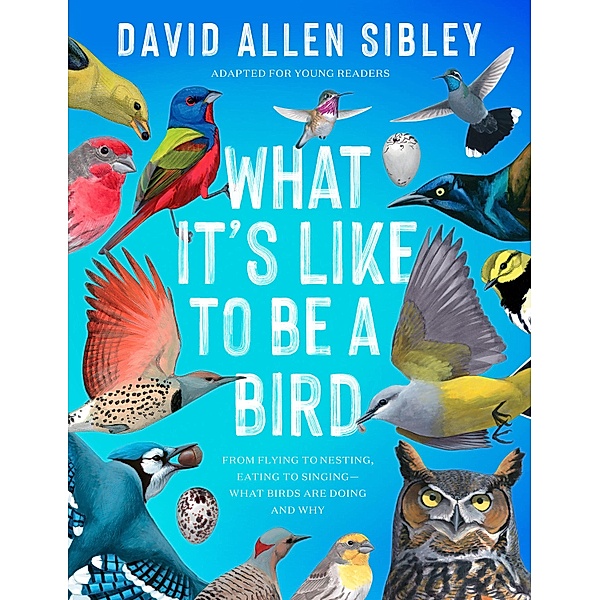 What It's Like to Be a Bird (Adapted for Young Readers), David Allen Sibley
