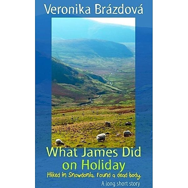 What James Did on Holiday (The Adventures of James, Martin, and Rose, #1), Veronika Brazdova