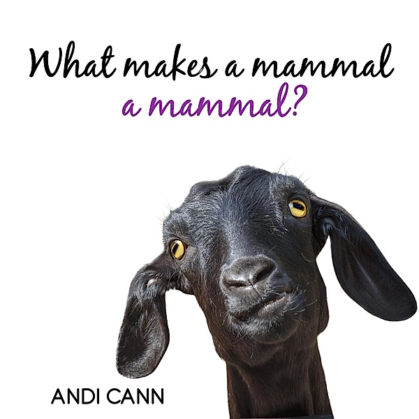 What Makes a Mammal a Mammal? (Animal Classes), Andi Cann