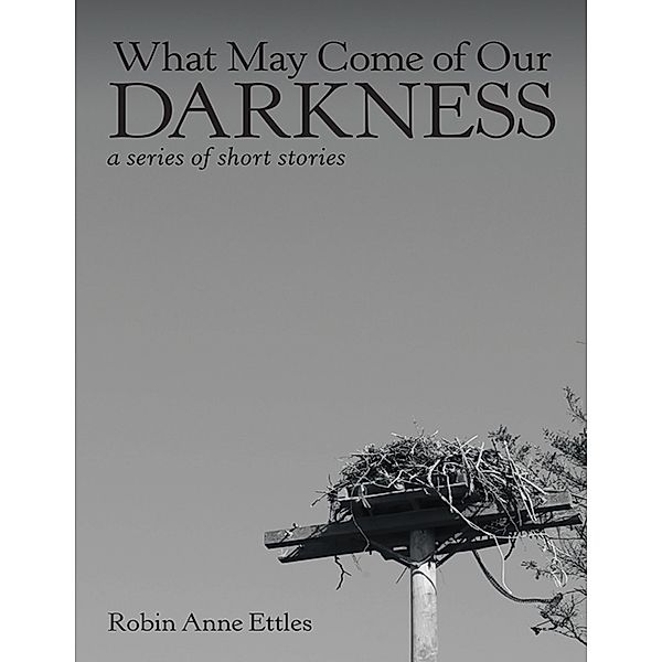 What May Come of Our Darkness: A Series of Short Stories / Robin Anne Ettles, Robin Anne Ettles