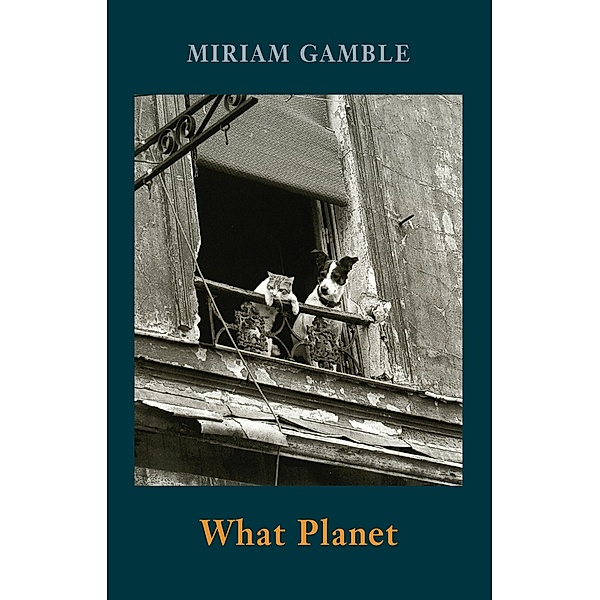 What Planet, Miriam Gamble