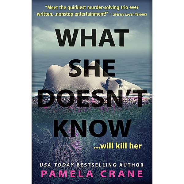 What She Doesn't Know (If Only She Knew Mystery Series, #4) / If Only She Knew Mystery Series, Pamela Crane