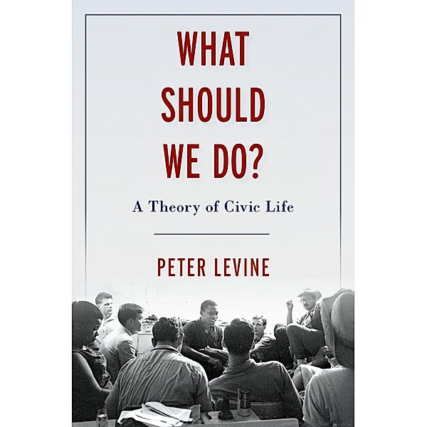 What Should We Do?, Peter Levine