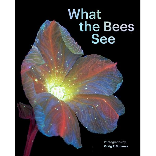 What the Bees See, Craig P. Burrows
