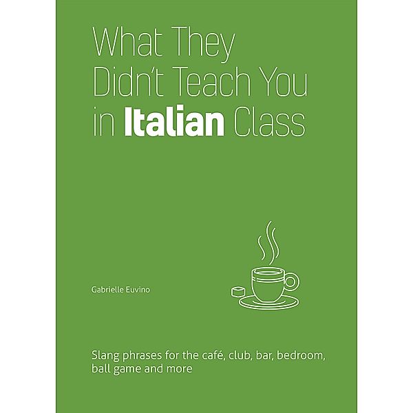 What They Didn't Teach You in Italian Class / Dirty Everyday Slang, Gabrielle Euvino