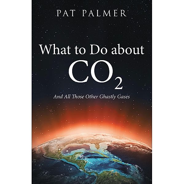 What to Do About Co2, Pat Palmer