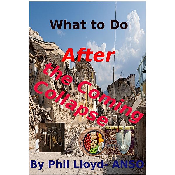 What to Do After the Coming Collapse, Phil Lloyd