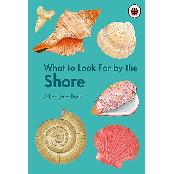 What to Look For by the Shore / A Ladybird Book, Becky Brown