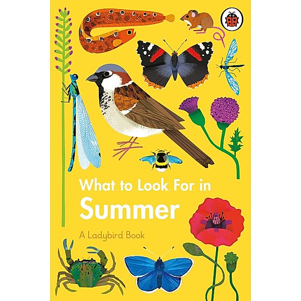 What to Look For in Summer / A Ladybird Book, Elizabeth Jenner