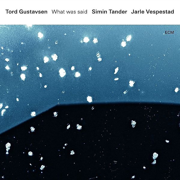 What Was Said (Vinyl), Tord Gustavsen, Simin Tander, Jarle Vespestad