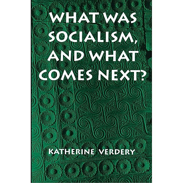 What Was Socialism, and What Comes Next?, Katherine Verdery