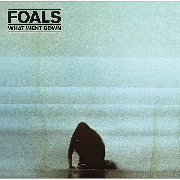 What Went Down, Foals