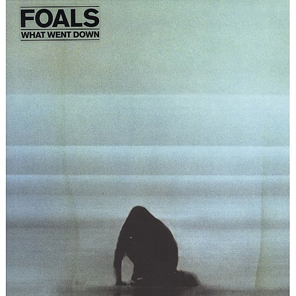 What Went Down (Vinyl), Foals