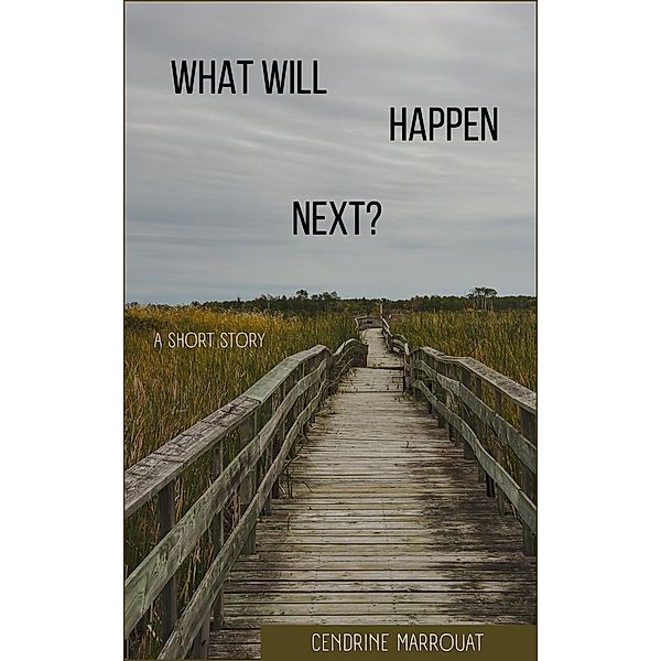 What Will Happen Next?, Cendrine Marrouat