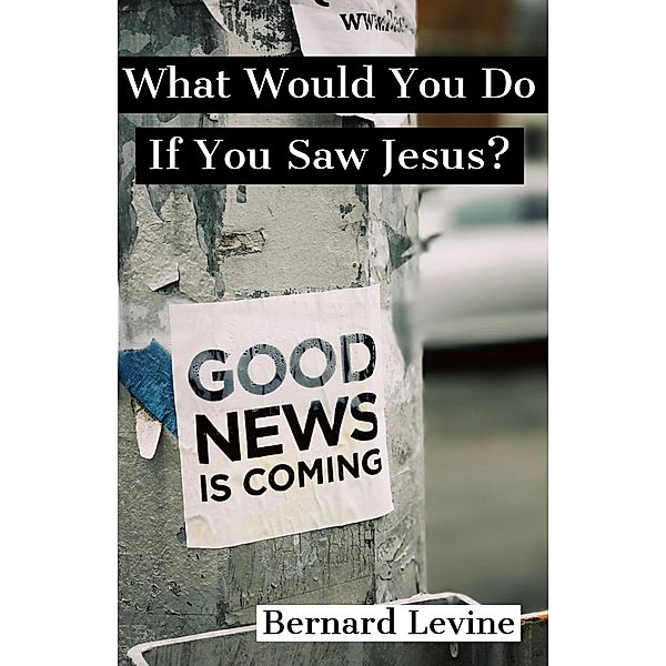 What Would You Do If You Saw Jesus?, Bernard Levine