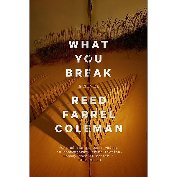 What You Break / A Gus Murphy Novel Bd.2, Reed Farrel Coleman