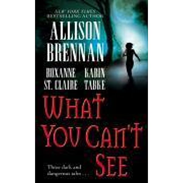 What You Can't See, Allison Brennan, Karin Tabke, Roxanne St. Claire