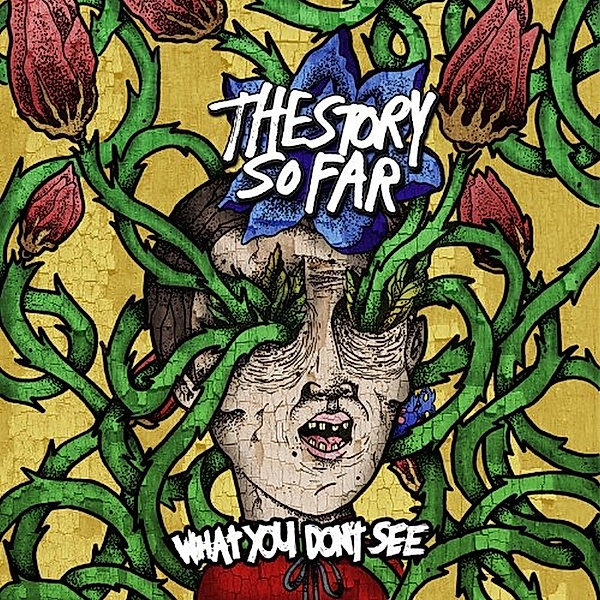 What You Don'T See (Ltd.Vinyl), The Story So Far