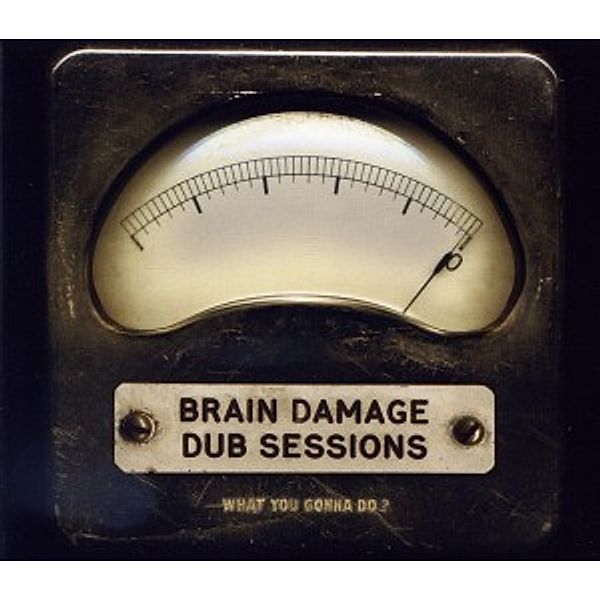 What You Gonna Do?, Brain Damage Dub Sessions