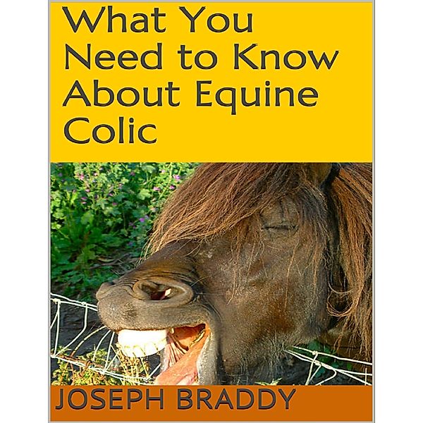 What You Need to Know About Equine Colic, Joseph Braddy