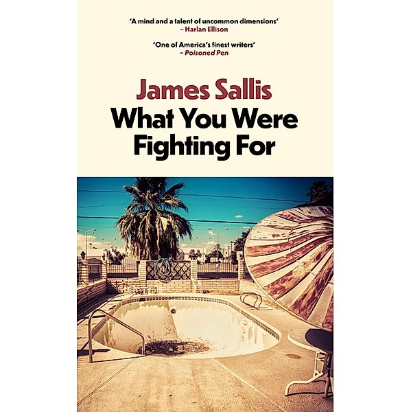 What You Were Fighting For, James Sallis