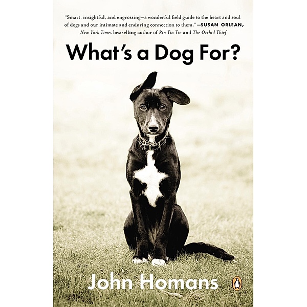 What's a Dog For?, John Homans