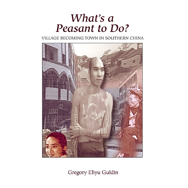 What's A Peasant To Do? Village Becoming Town In Southern China, Greg Guldin