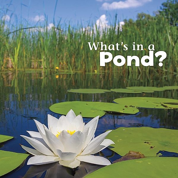 What's in a Pond? / Raintree Publishers, Martha E. H. Rustad