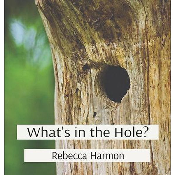 What's in the Hole?, Rebecca Harmon