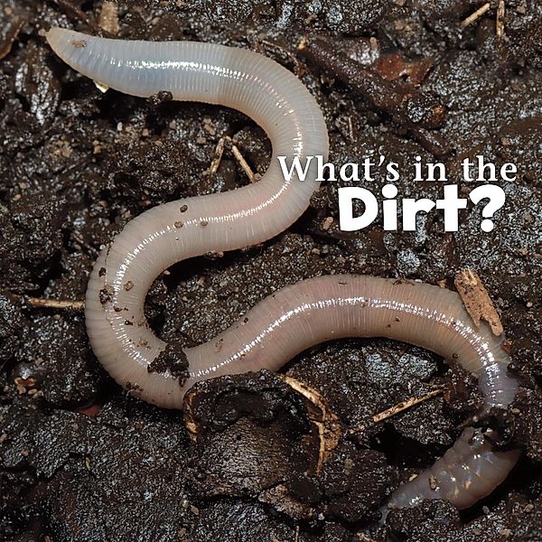 What's in the Soil? / Raintree Publishers, Martha E. H. Rustad