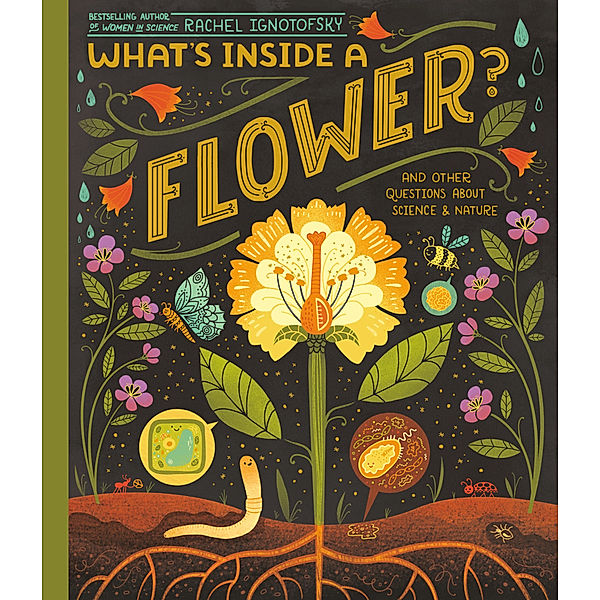 What's Inside A Flower?, Rachel Ignotofsky