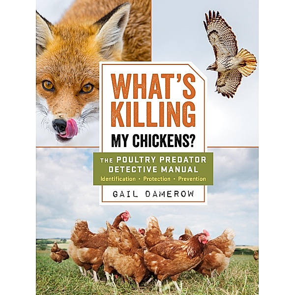 What's Killing My Chickens?, Gail Damerow