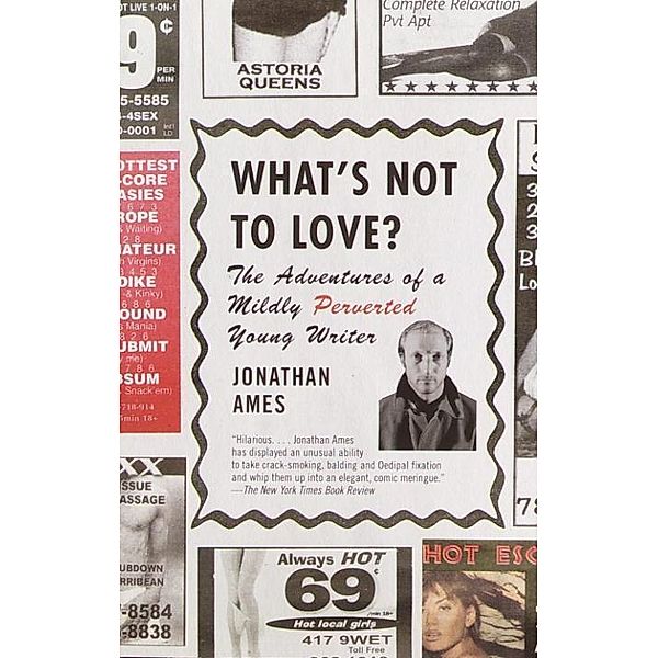 What's Not to Love?, Jonathan Ames