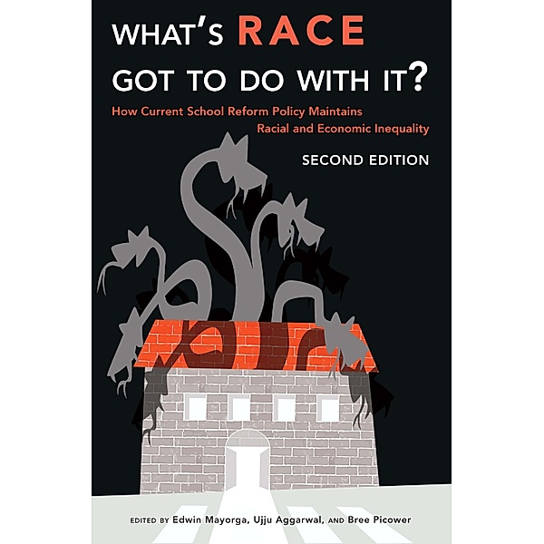 What's Race Got To Do With It? / Critical Multicultural Perspectives on Whiteness Bd.7
