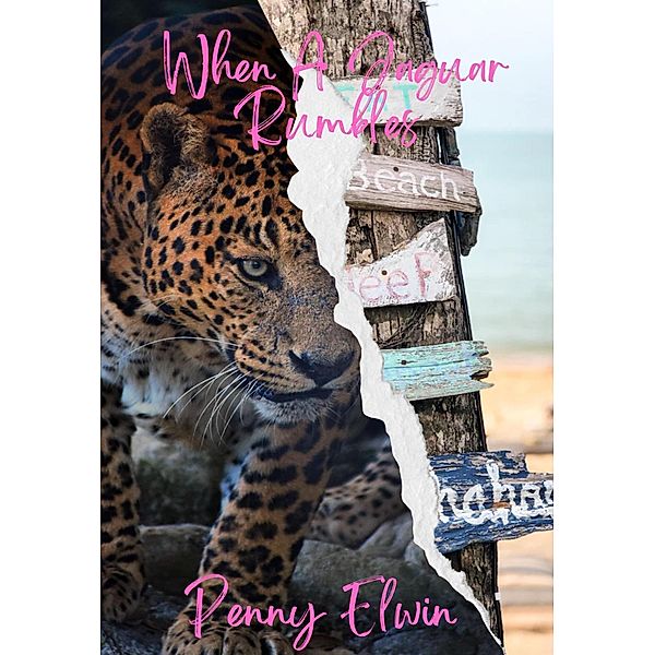 When a Jaguar Rumbles (Sand Dune Bay) / Sand Dune Bay, Penny Elwin