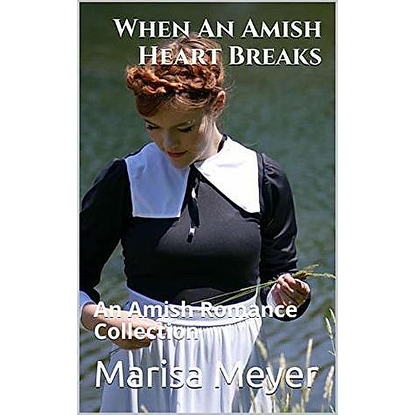 When An Amish Heart Breaks, Marisa Meyer