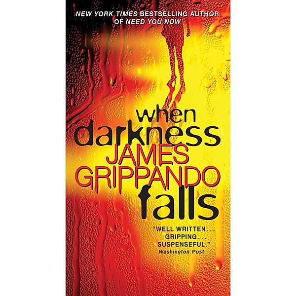 When Darkness Falls / Jack Swyteck Novel Bd.6, James Grippando