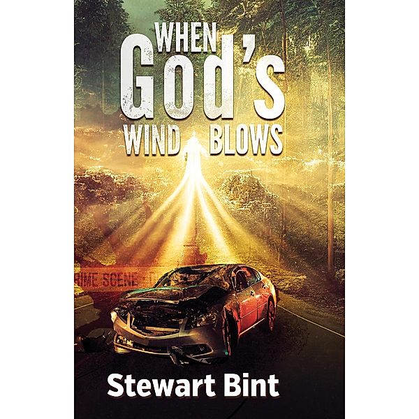 When God's Wind Blows (White Pastures, #2) / White Pastures, Stewart Bint
