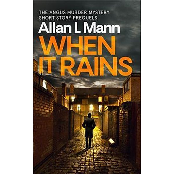 When it Rains / Noir Cafe Press, LLC, Allan L Mann